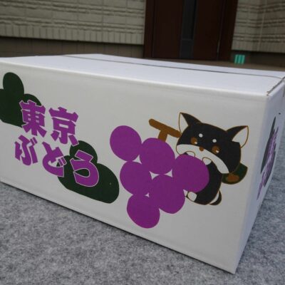 新しい箱sizelittle
